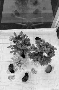 Zukunftsbaustoff für Zukunftsbäume